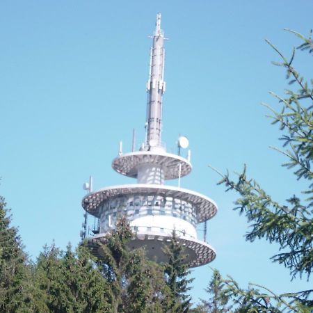 Apartament Haus Am Wald Hillscheid Zewnętrze zdjęcie