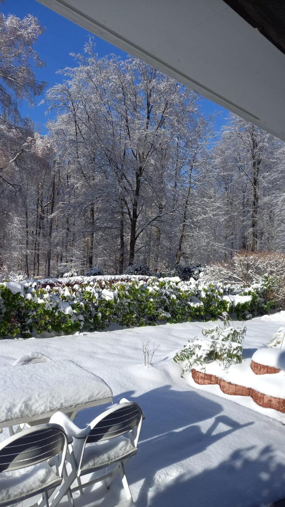 Apartament Haus Am Wald Hillscheid Zewnętrze zdjęcie