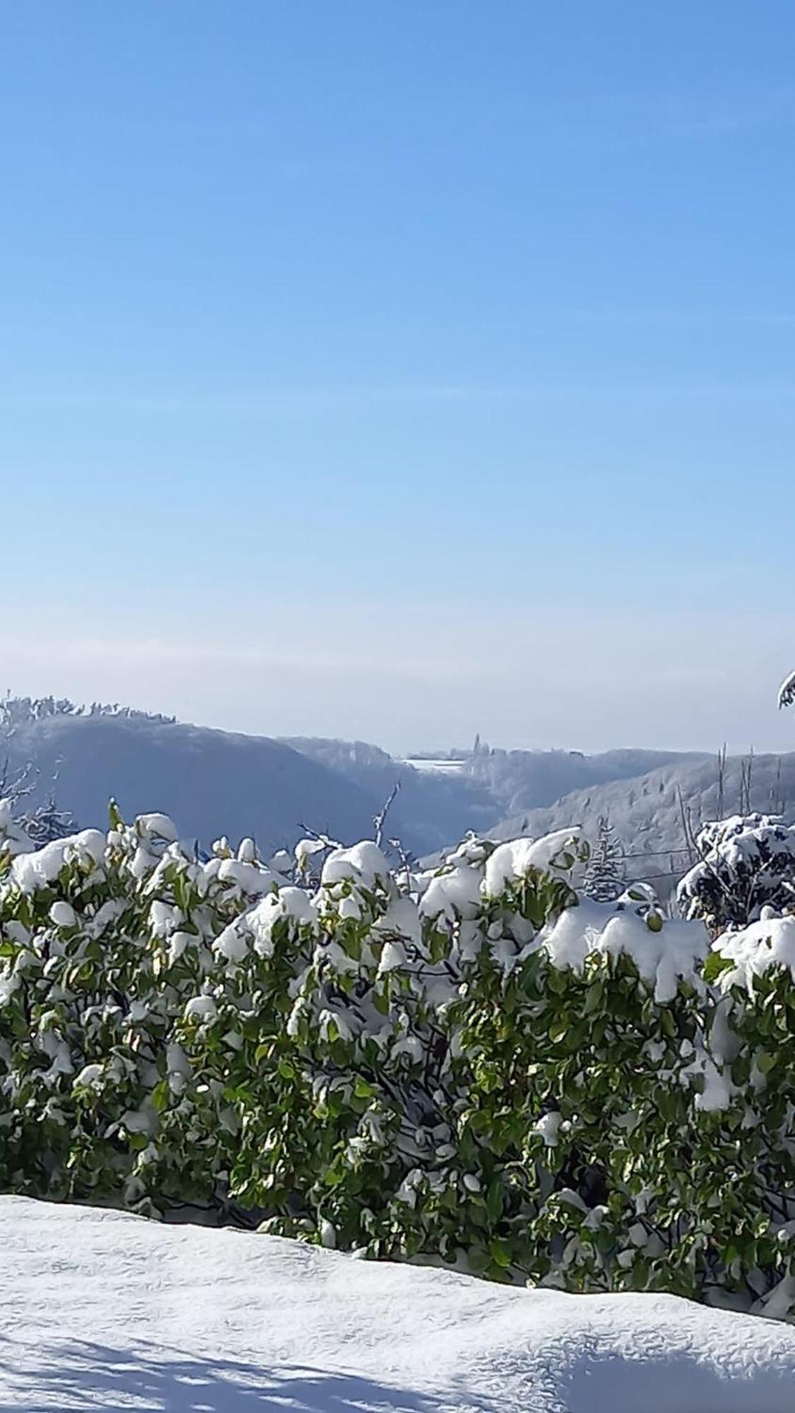 Apartament Haus Am Wald Hillscheid Zewnętrze zdjęcie