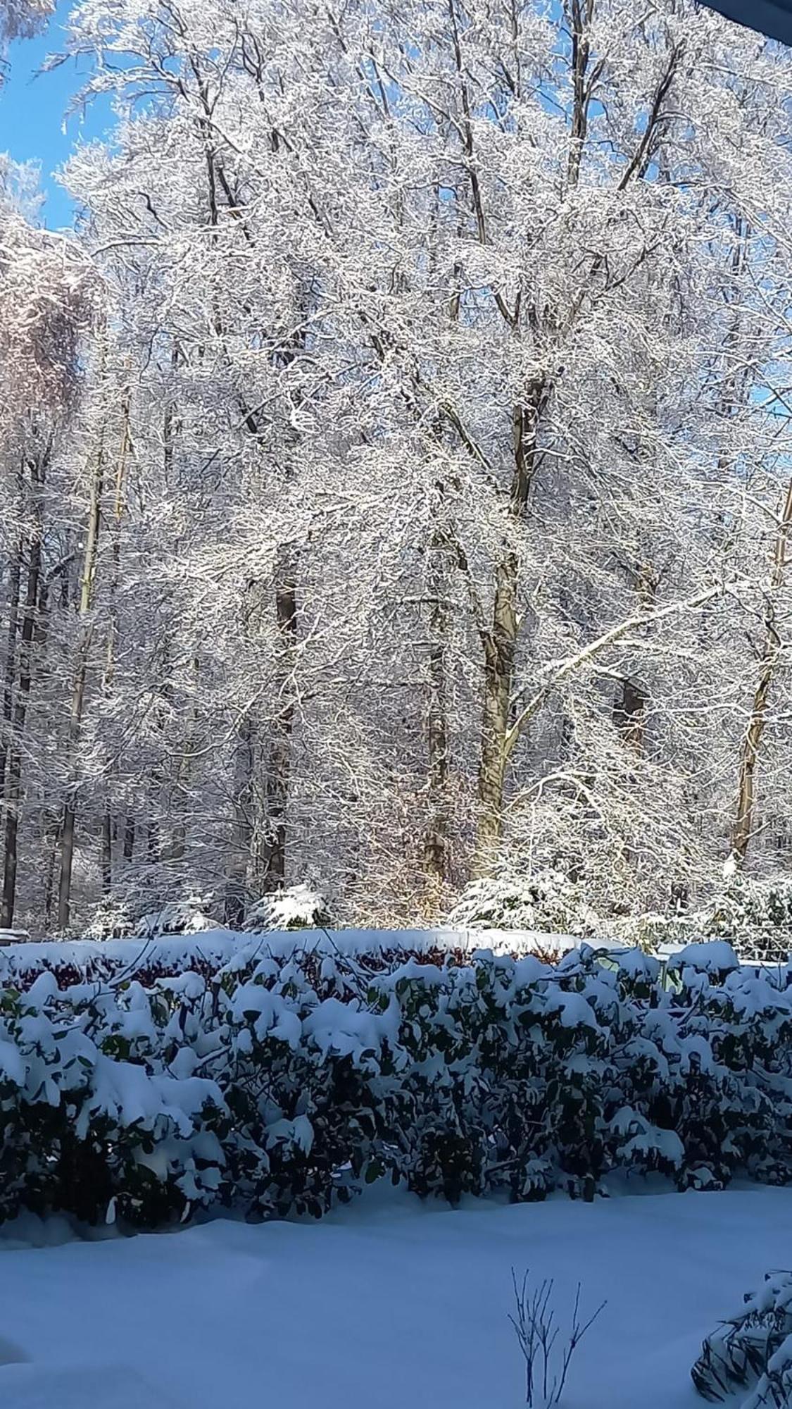 Apartament Haus Am Wald Hillscheid Zewnętrze zdjęcie