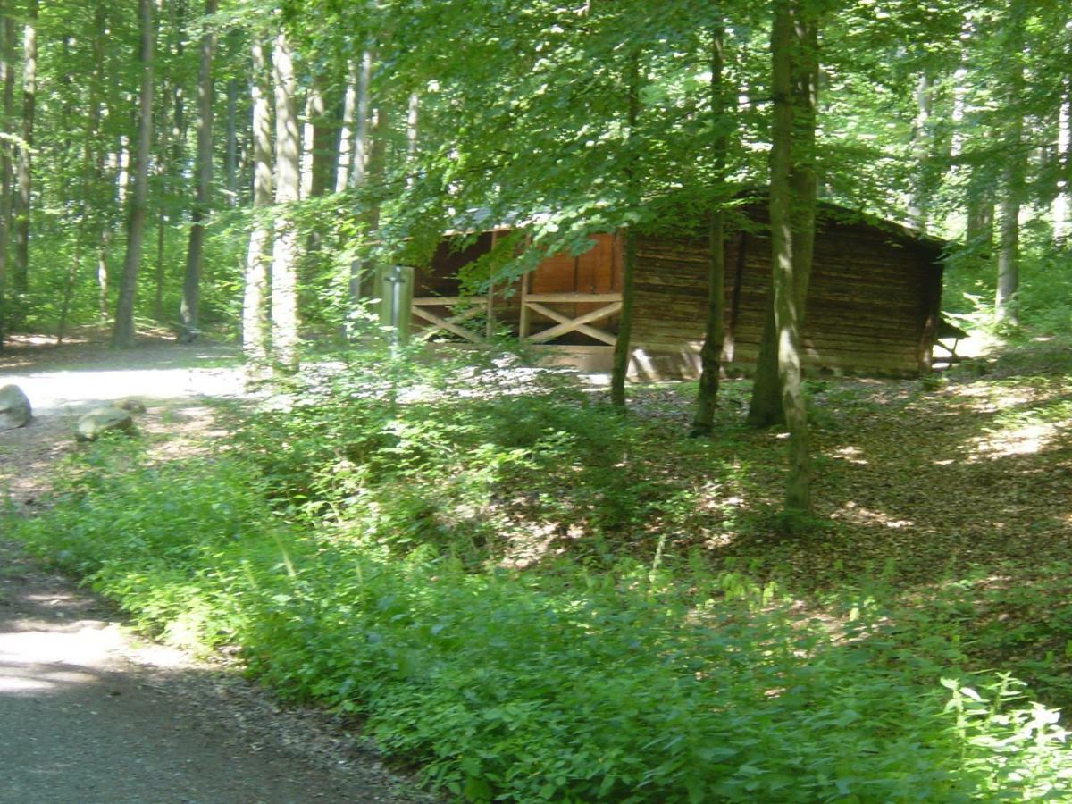 Apartament Haus Am Wald Hillscheid Zewnętrze zdjęcie