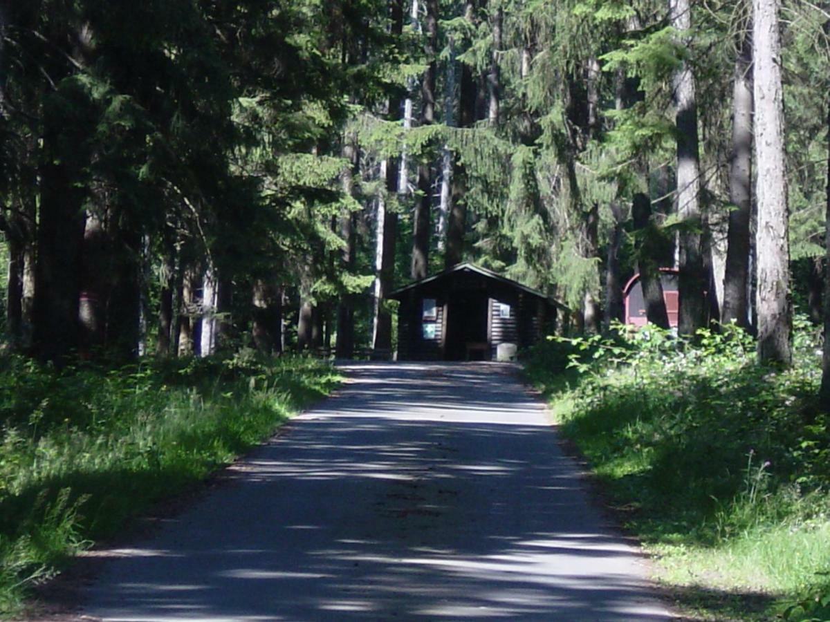 Apartament Haus Am Wald Hillscheid Zewnętrze zdjęcie
